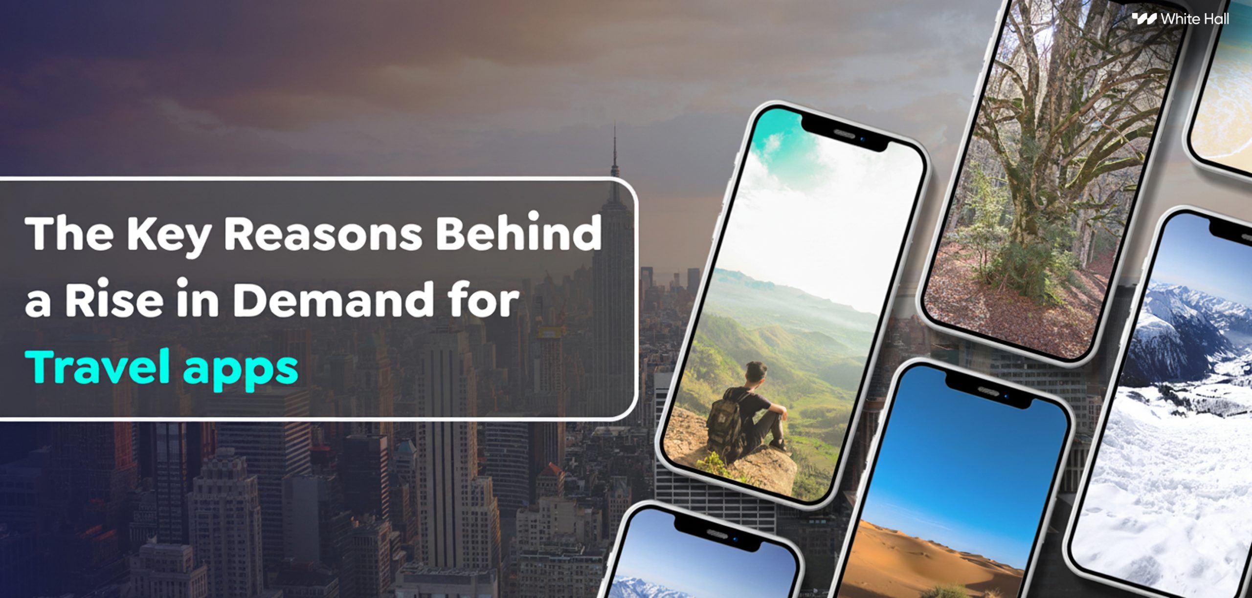 The Key Reasons Behind a Rise in Demand for Travel Apps